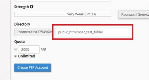 cPanel FTP accounts folder example