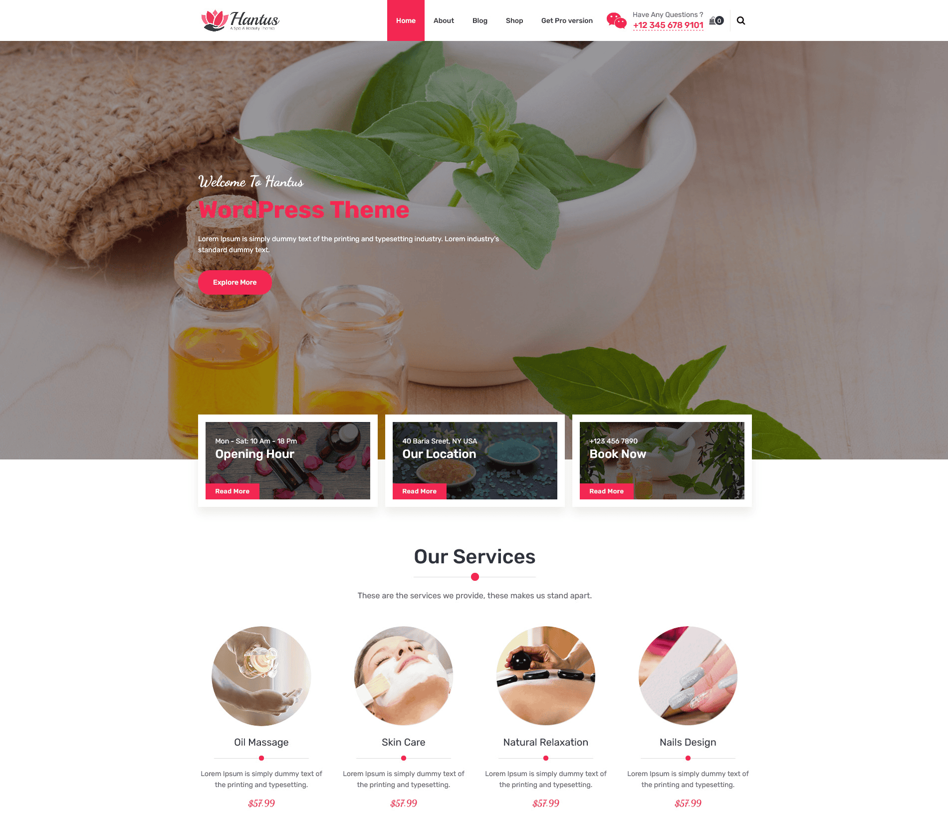 Free WordPress Theme: Hantus