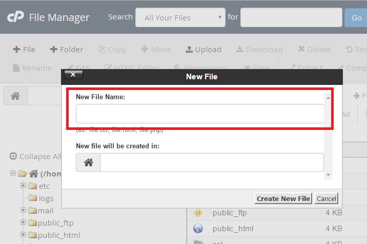 cPanel file manager new file name