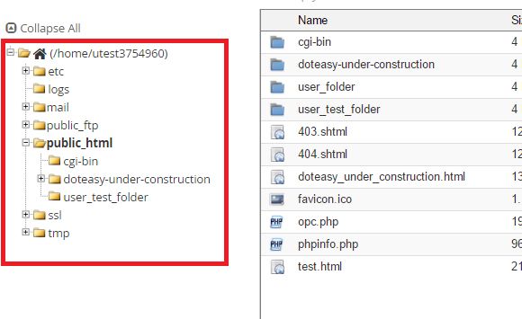 cPanel FTP account example