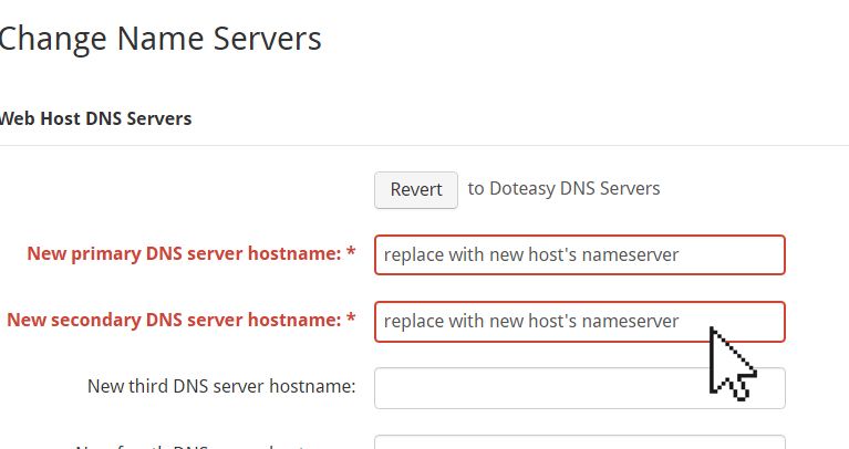 Doteasy primary DNS server hostname