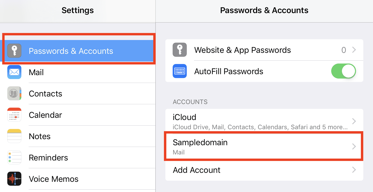 iPhone passwords and accounts settings