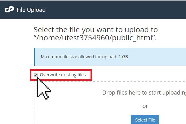 cPanel file manager overwrite existing files