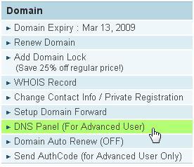 DNS Panel