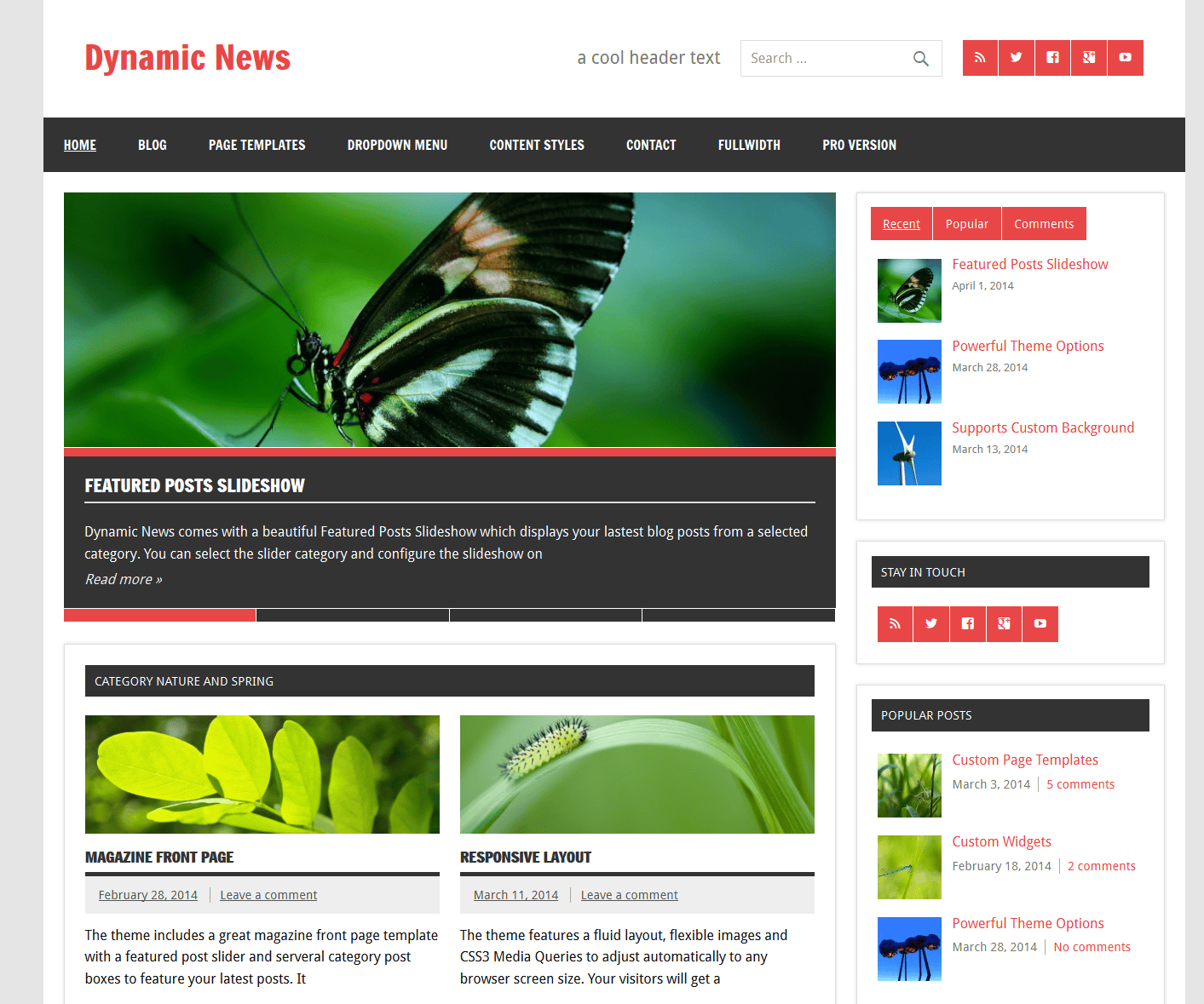 Free WordPress Theme: Dynamic News Lite