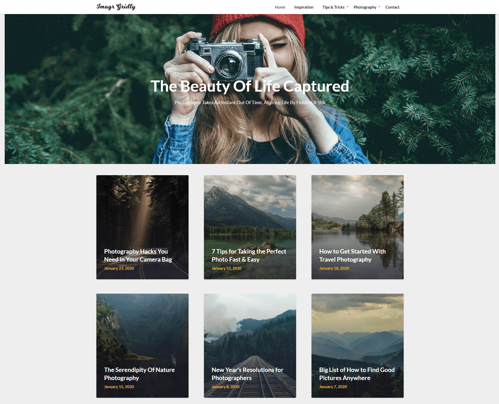 Free WordPress Theme: Image Gridly