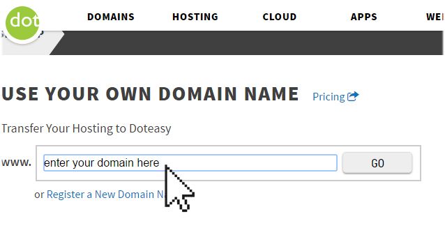 Doteasy Hosting Sign Up Enter Domain Section