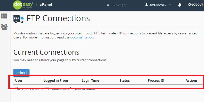 cPanel FTP Connections interface
